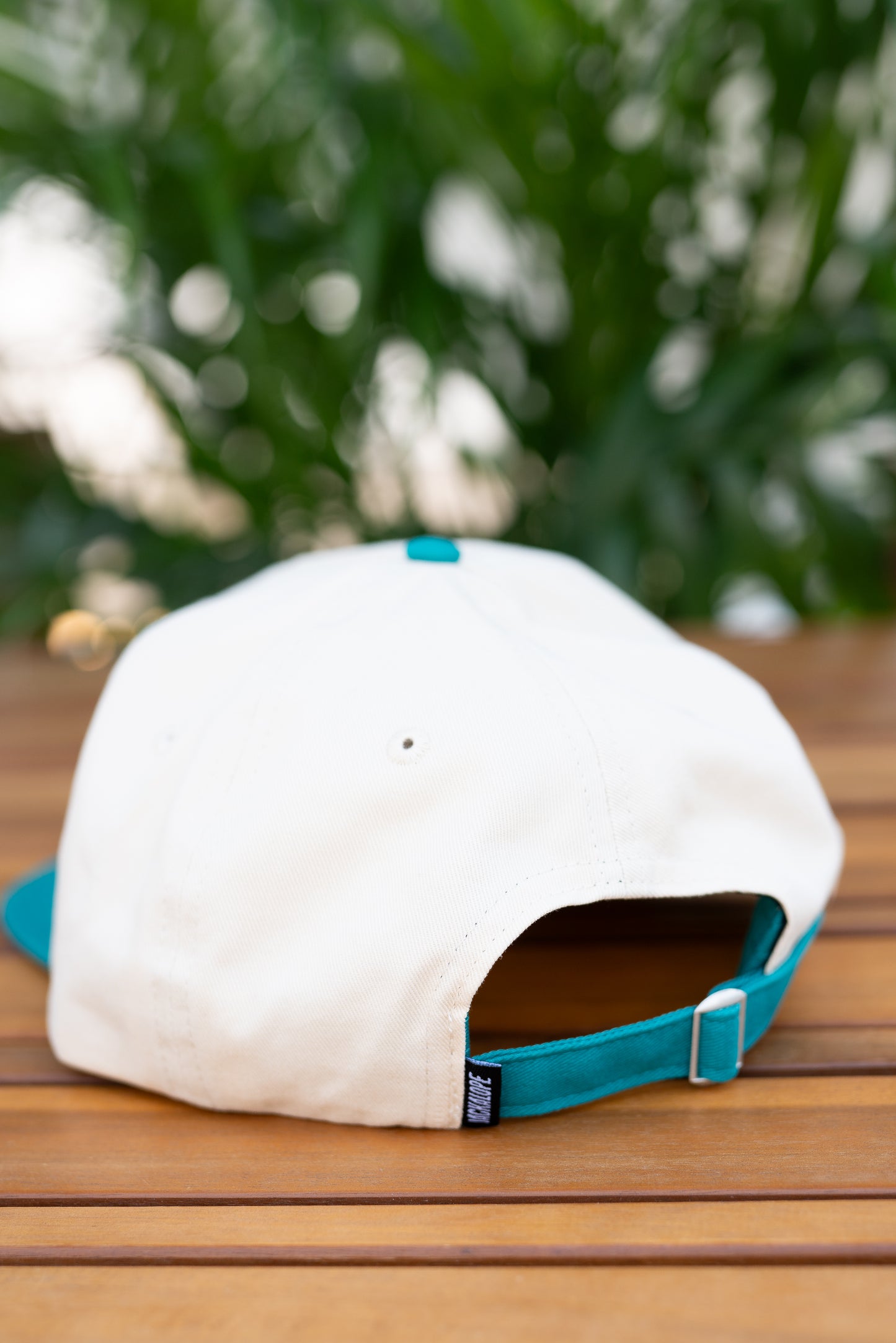 JACKALOPE BLUE SURF CAP