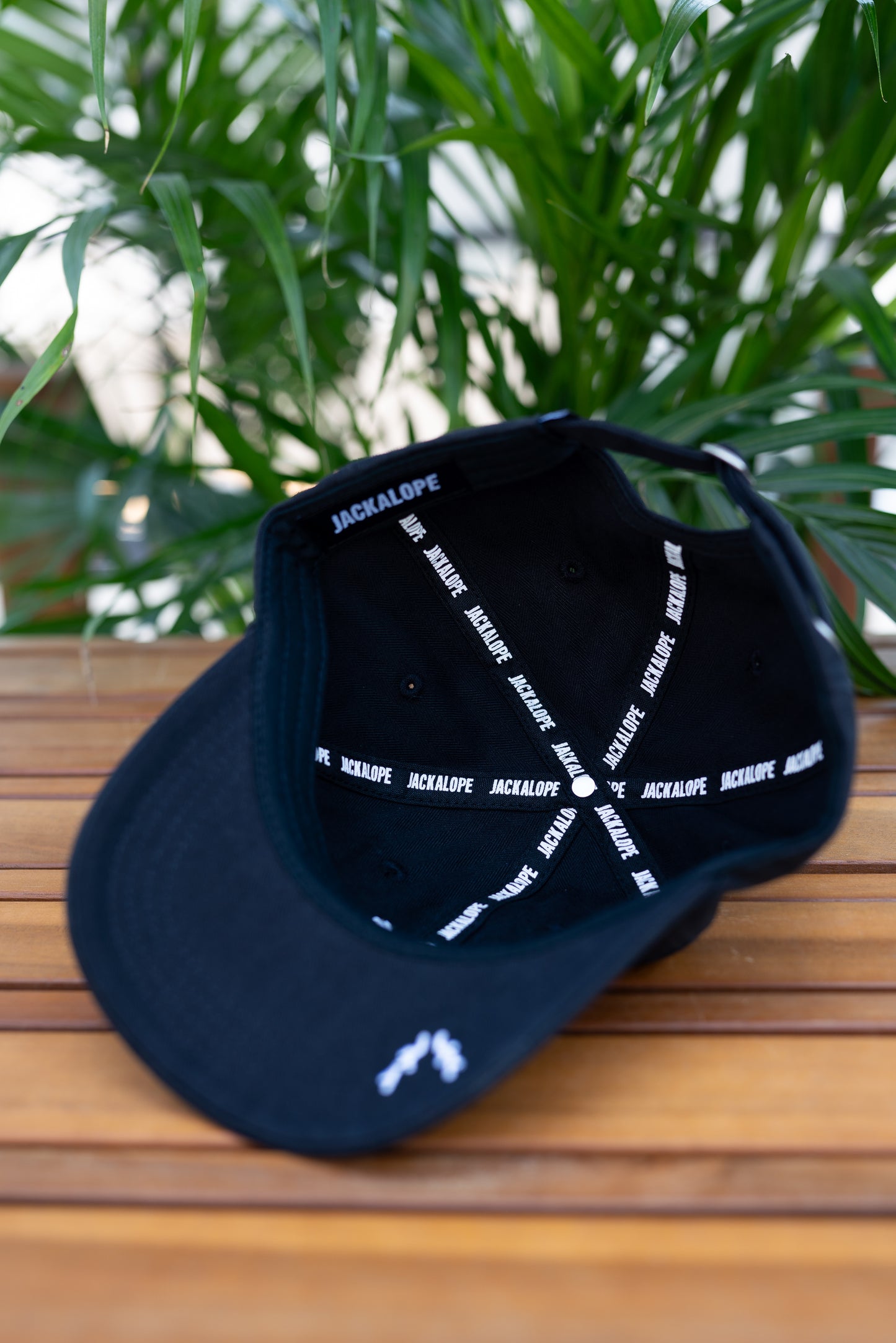 JACKALOPE black cap