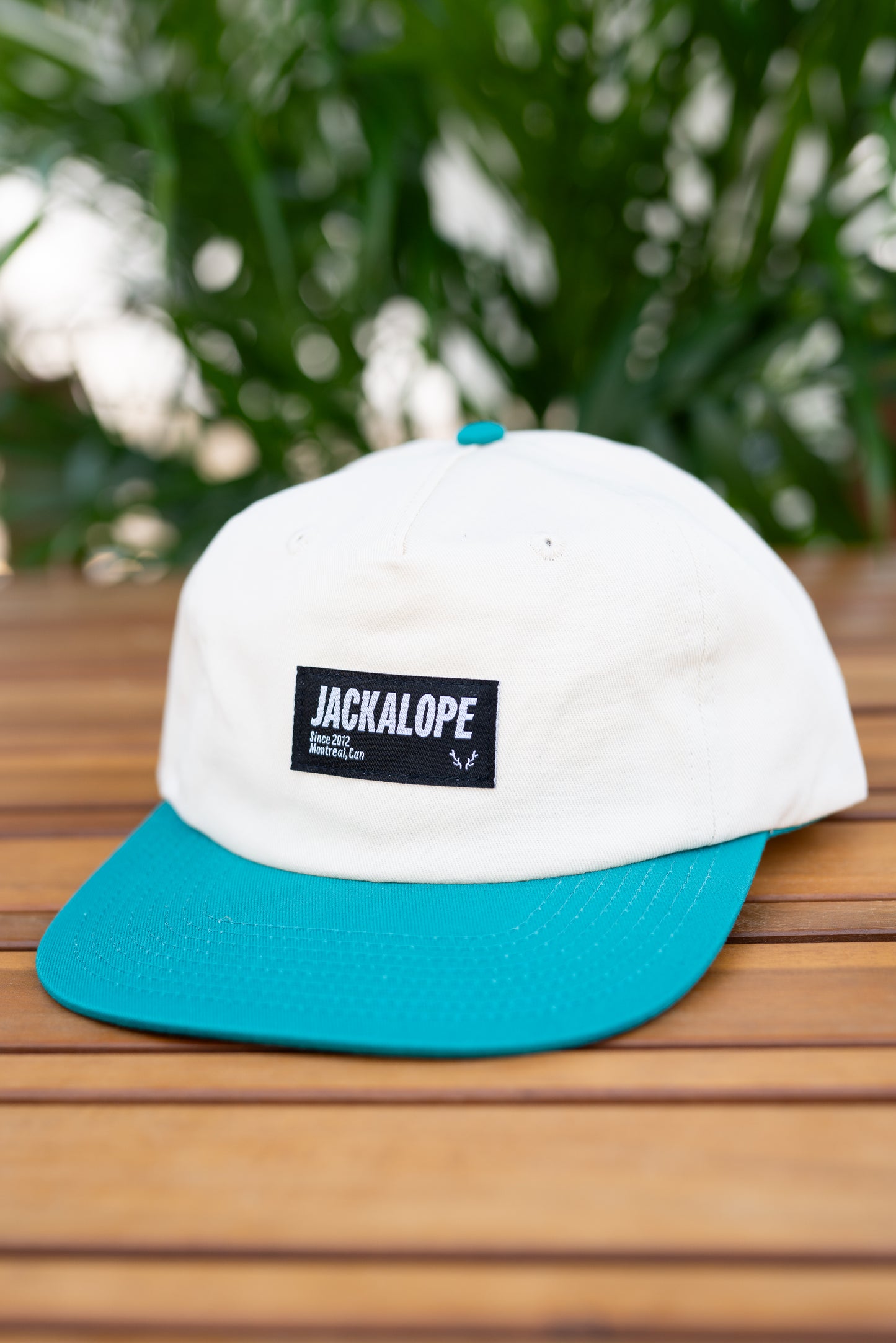 JACKALOPE surf cap