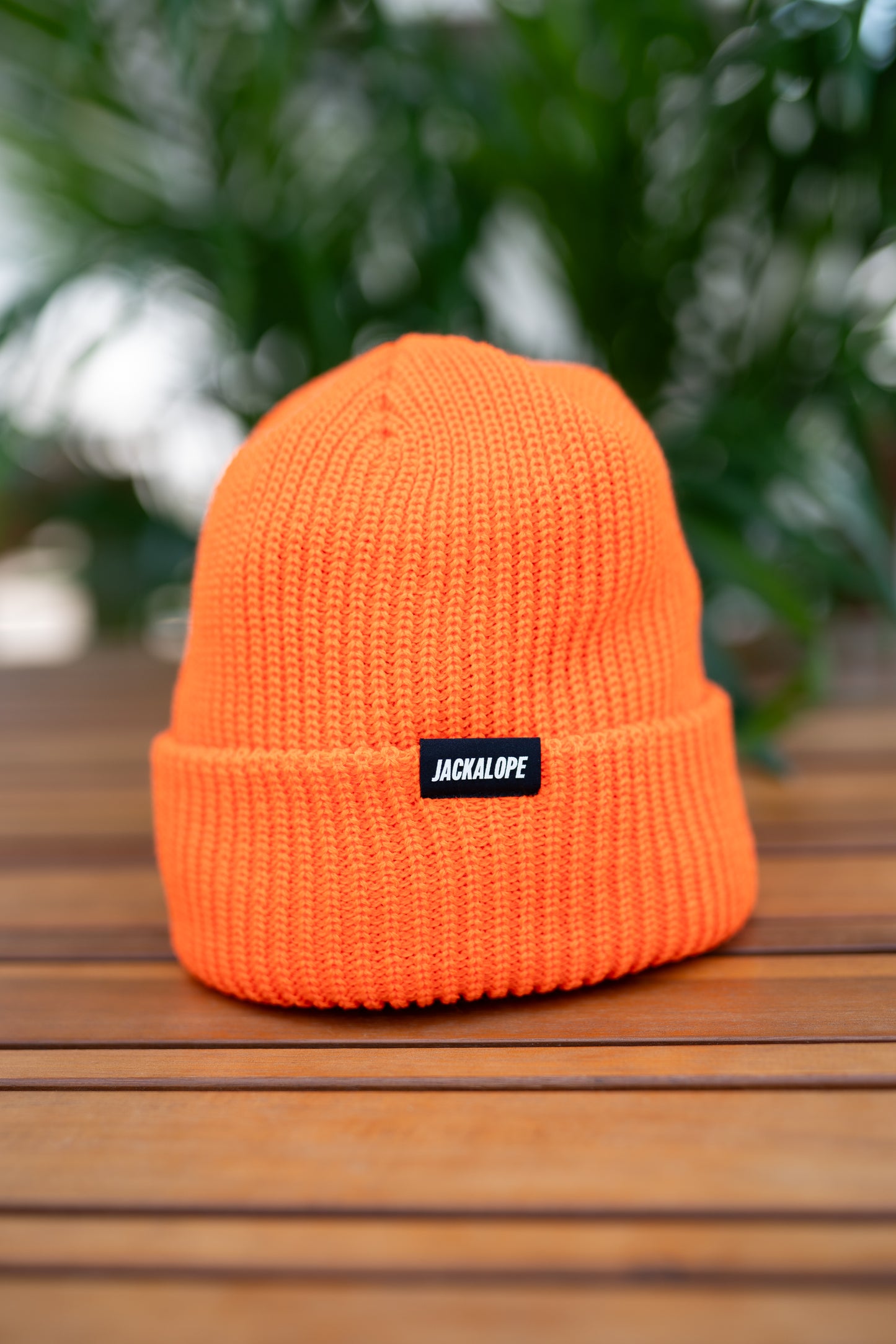 JACKALOPE beanie